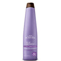 BE NATURAL BLUEBERRY Silver Acondicionador 350ml