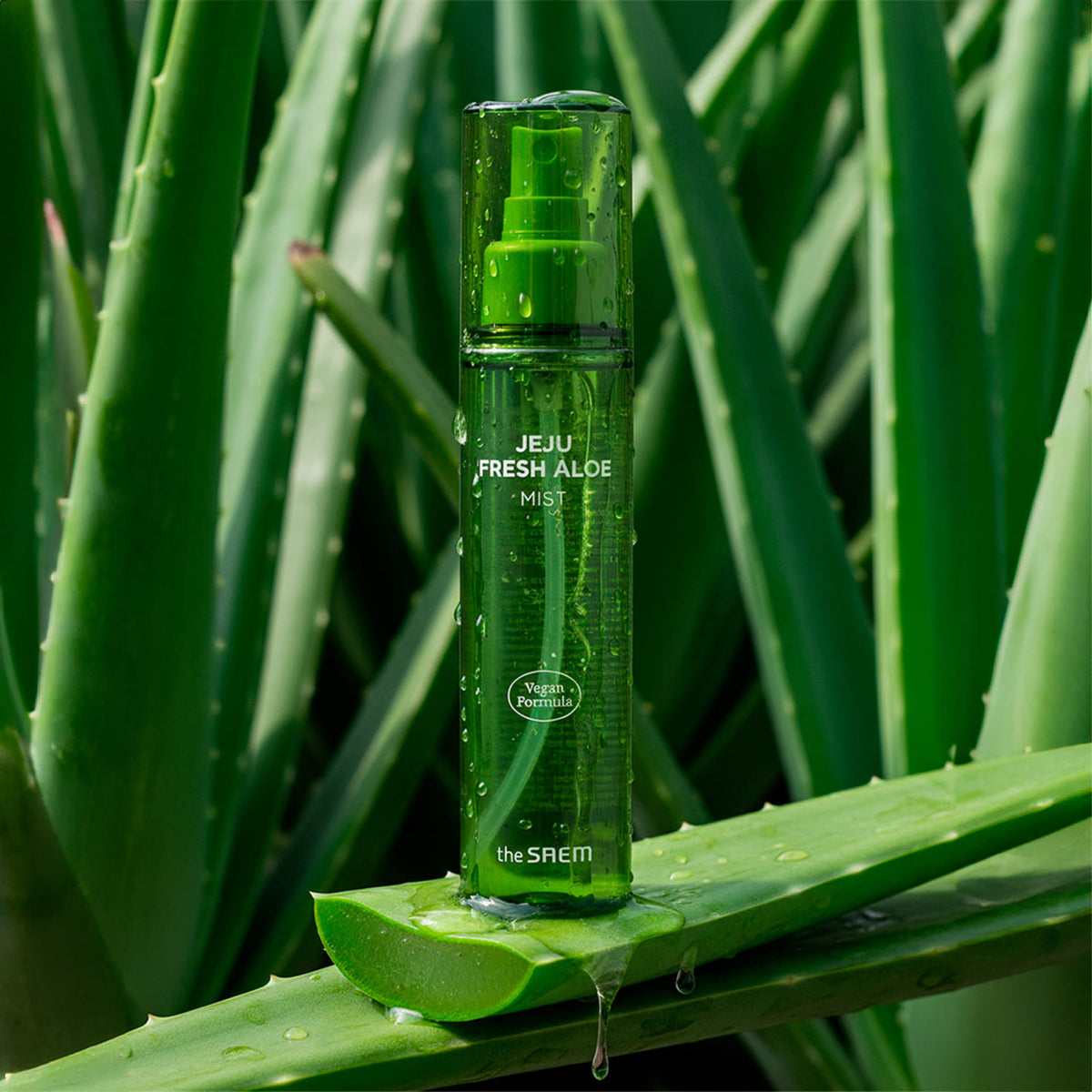 Jeju Fresh Aloe Mist_Bruma facial de Aloe